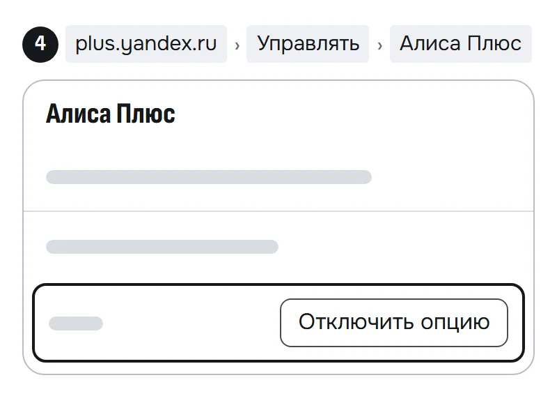 Схема окна опции «Алиса Плюс» с кнопкой «Отключить опцию»