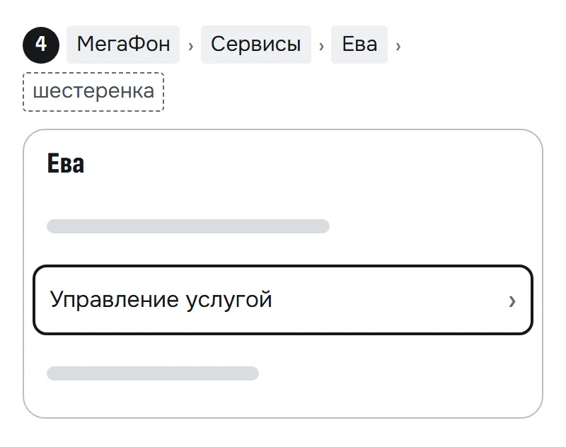 Экран настроек Евы: выделен пункт «Управление услугой»